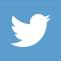 twitterbirdwhiteonblue